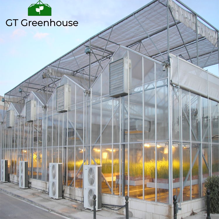 Good Price  Used Greenhouses Equipment for Sale