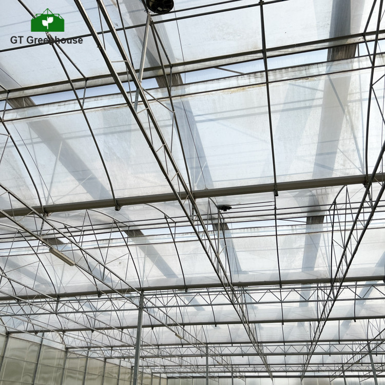 Low tunnel plastic sheet sliding doors polycarbonate greenhouses