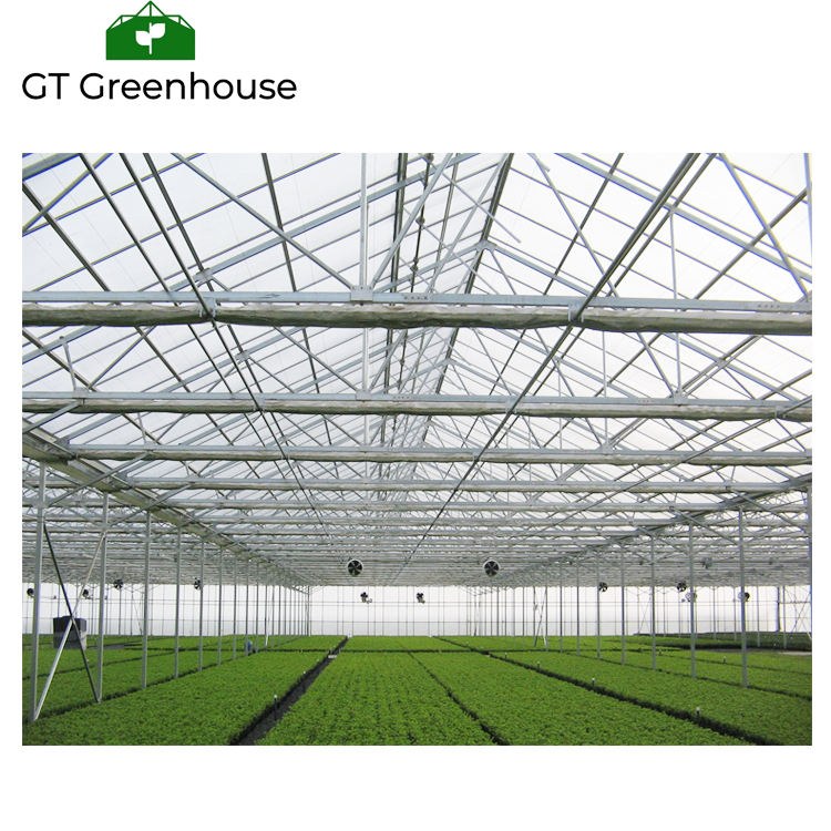 Good Price  Used Greenhouses Equipment for Sale