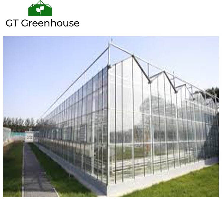 Good Price  Used Greenhouses Equipment for Sale