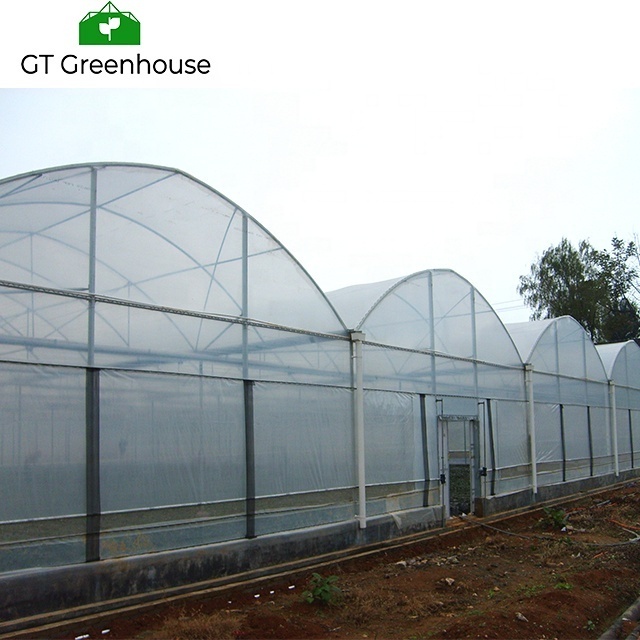 Best Selling Used Greenhouse Frames for Sale