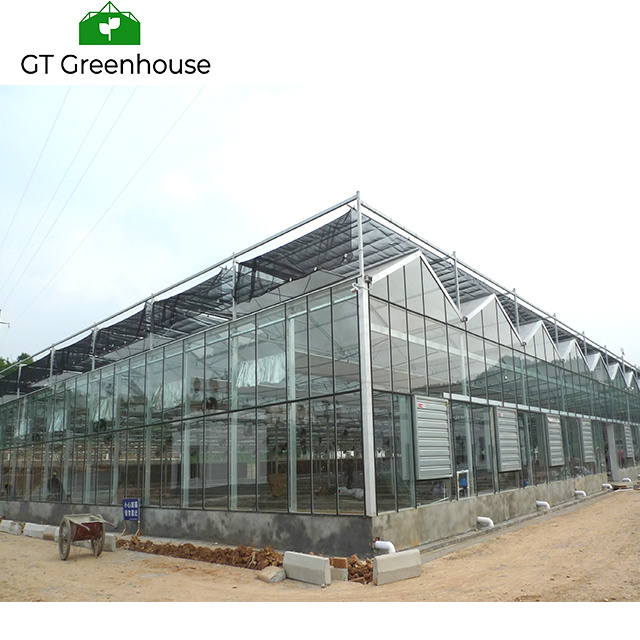 Glass Used Commercial Greenhouse for Sale