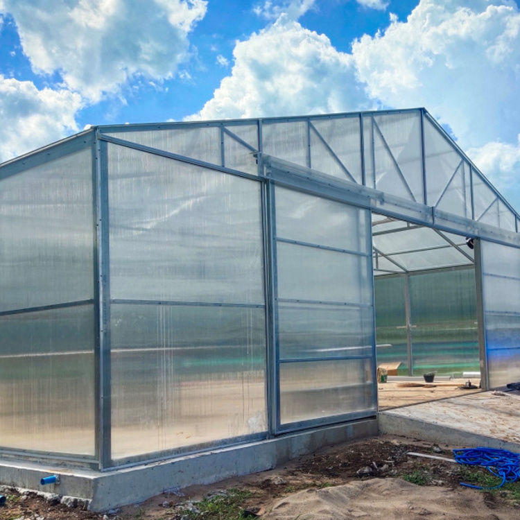 Low tunnel plastic sheet sliding doors polycarbonate greenhouses