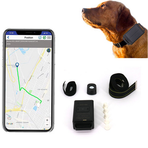 Waterproof 4G Gps Cattle Tracker Anti Lost Magnetic Charging Solar Animal GPS Tracker Pet Cow Sheep Farm GPS Locator For Animal