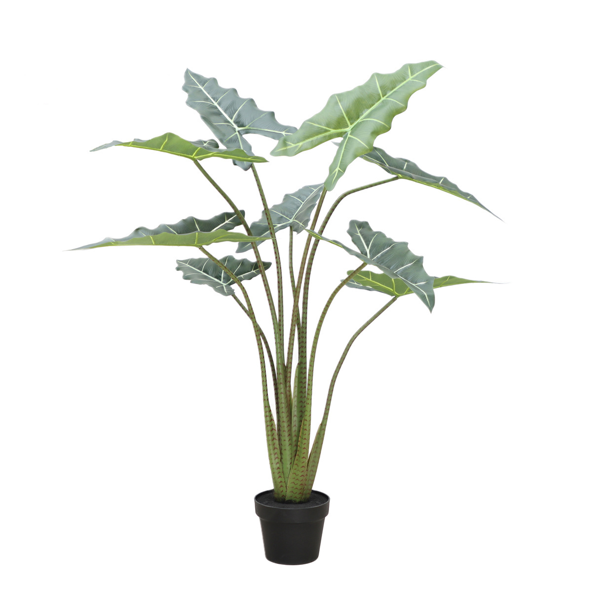 1M/1.2M Small Artificial Tree Bonsai with Big Leaf in Plastic Pot