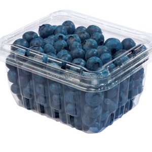 PET material disposable plastic food container strawberry punnet