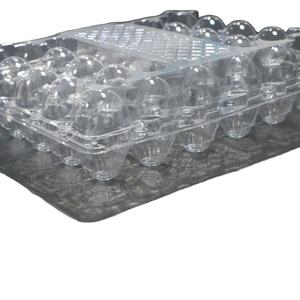 24 Holes PET Clear Rectangular Plastic Blister Egg Tray, Disposable Egg Organizator Box,  Great Egg Case Packaging