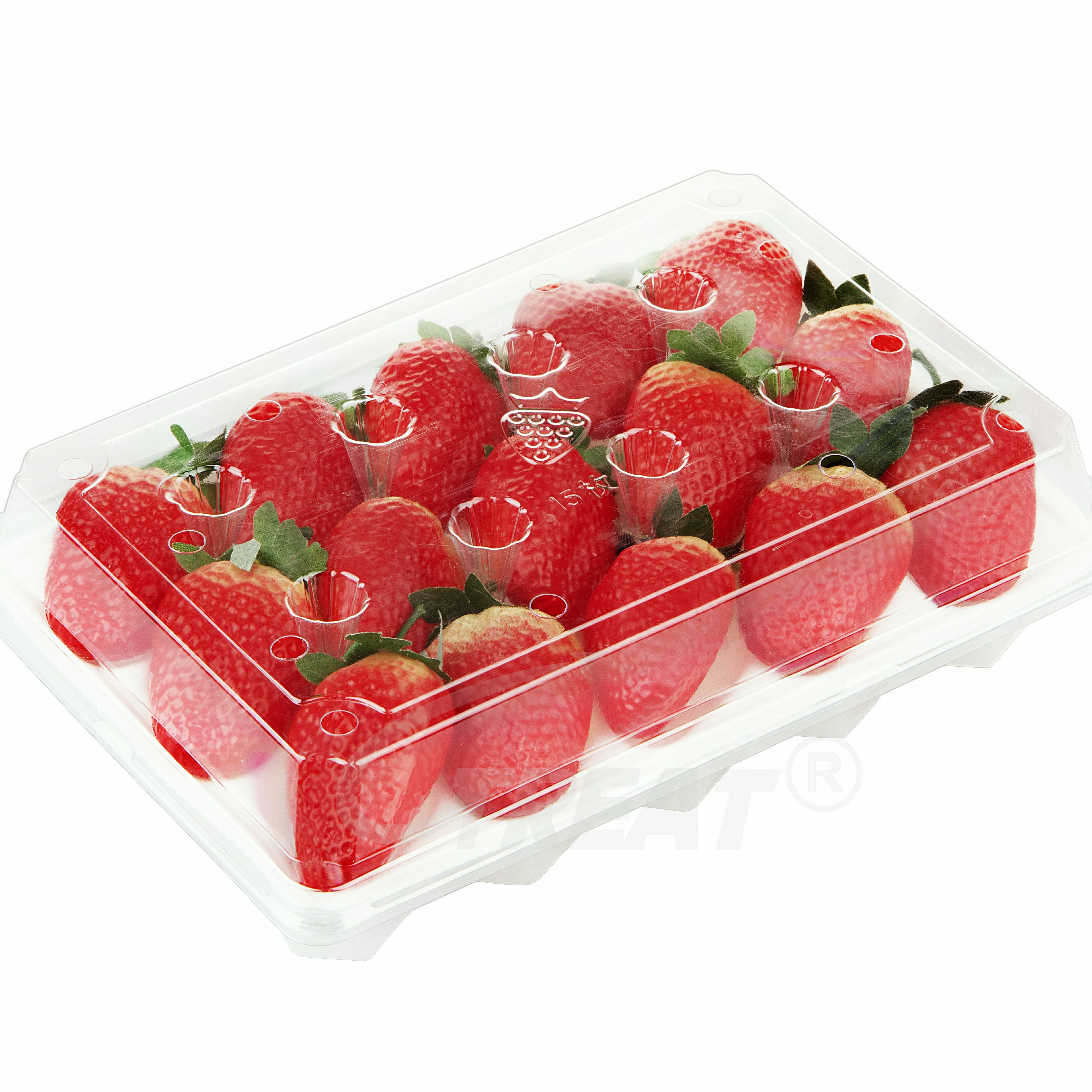 Wholesale Disposable Factory Custom package box PET Clear Fruit Foam Tray Strawberries Plastic Tray Packaging