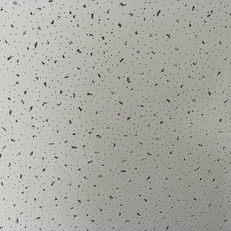 Latest Design Lowes Decorative Celotex Acoustical Ceiling Tiles Oiffer Ceiling and Interior Decoration hotel Modern