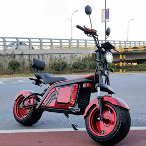 60V 2000W Brushless Motor Big Powerful Citycoco Electric Scooters 3 Three Wheeler Electric China Adult Tricycle E-Scooter