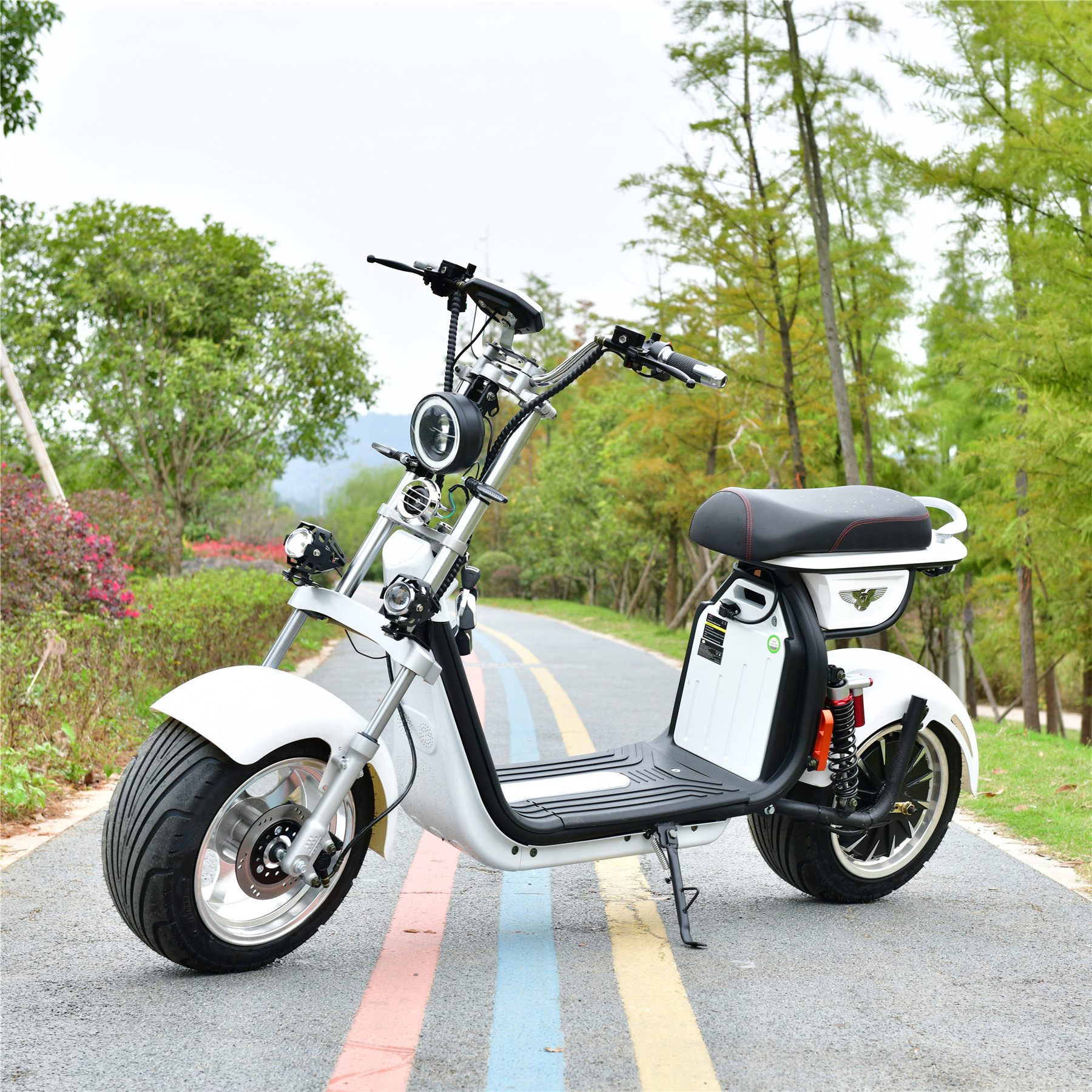 YIDE 2023 New OEM ODM Customized Citycoco Electric Adult  Mobility Scooter Price With Seat Scooter Eletrica 3000W Citycoco