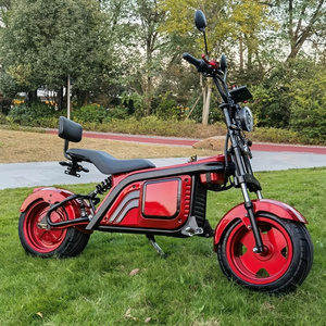 YIDE  Adult Pink With Seat Tricycle Electric Citycoco Moped Scooter