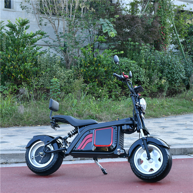 electric scooter Leon citycoco scooter motor 2000w adult mini chopper chinese citycoco electric motorcycle for sale