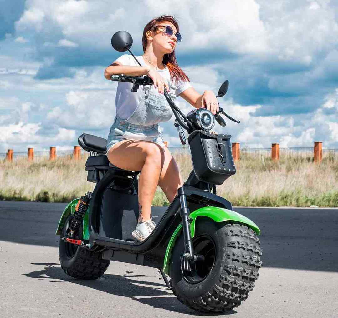 150cc Electric Scooters EEC COC Overseas Warehouse Fat Tire Electric Motorcycle 2000W Citycoco Steel Frame Electric Scooters