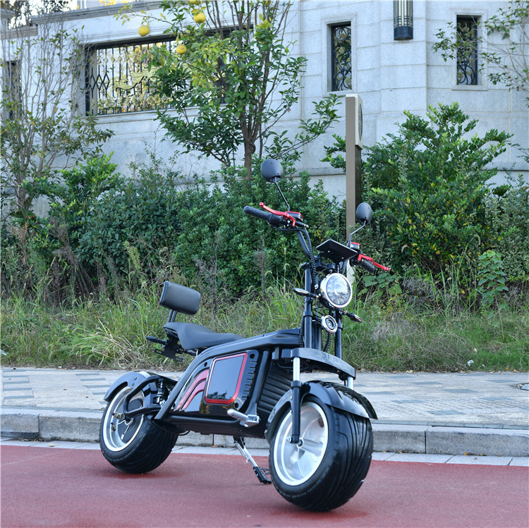 electric scooter Leon citycoco scooter motor 2000w adult mini chopper chinese citycoco electric motorcycle for sale