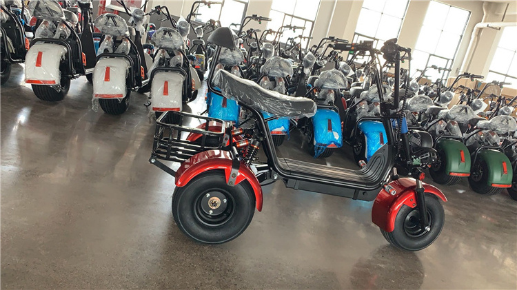 2023 New Handicapped Scooters Express Electric Cargo Tricycle Enclosed Electric Tricycle Electric Bike