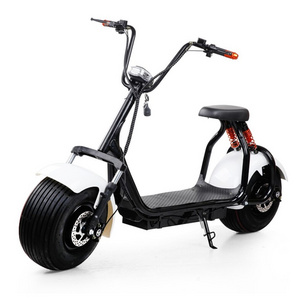 2 Wheel Unfoldable Electric Bike Sidecar