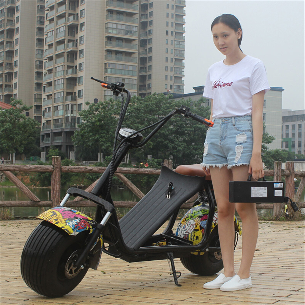 2 Wheel Unfoldable Electric Bike Sidecar