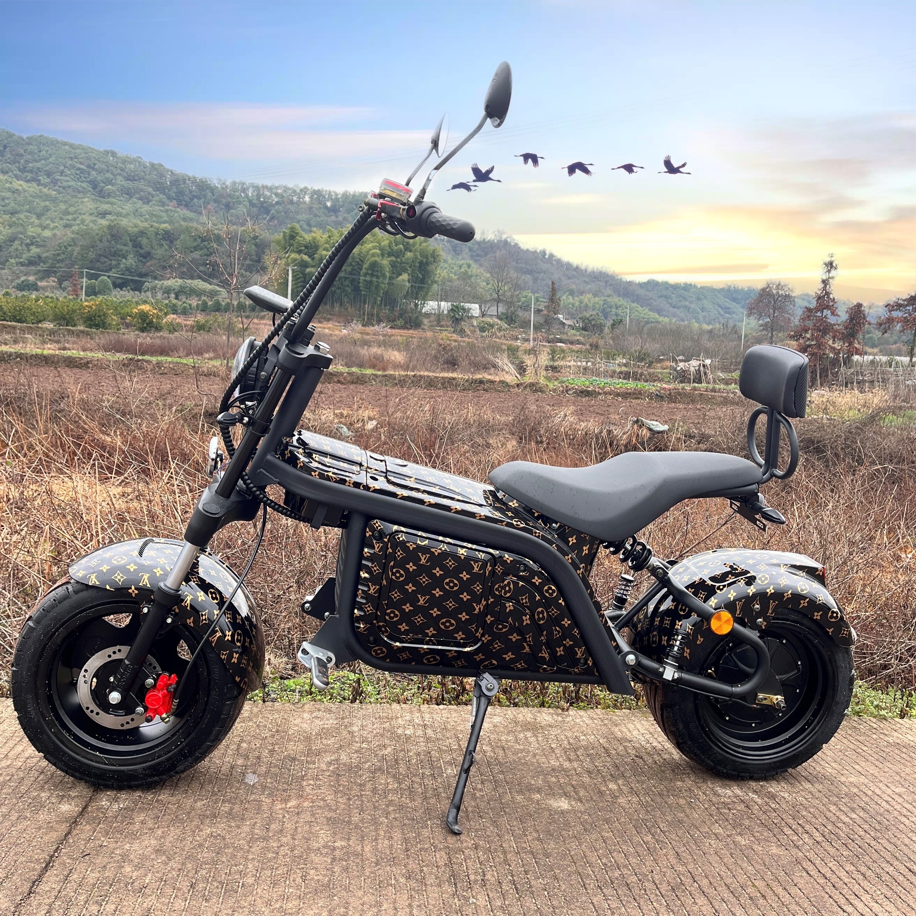 Factory Direct Selling Cool Electric Motorcycles Conversion Kits 1200W 60V Fast Mopeds Electric Scooters For Adult