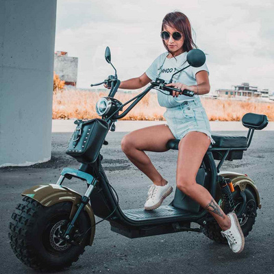 150cc Electric Scooters EEC COC Overseas Warehouse Fat Tire Electric Motorcycle 2000W Citycoco Steel Frame Electric Scooters