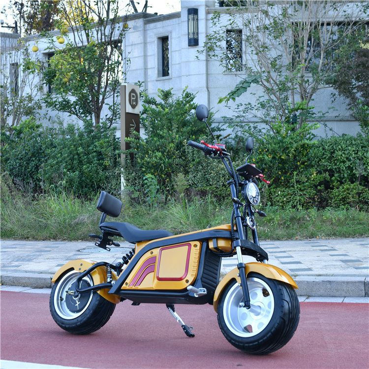 electric scooter Leon citycoco scooter motor 2000w adult mini chopper chinese citycoco electric motorcycle for sale