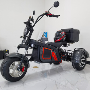 Adult Electric Three Wheel Scooter Zappy 3 Wheel Scooter