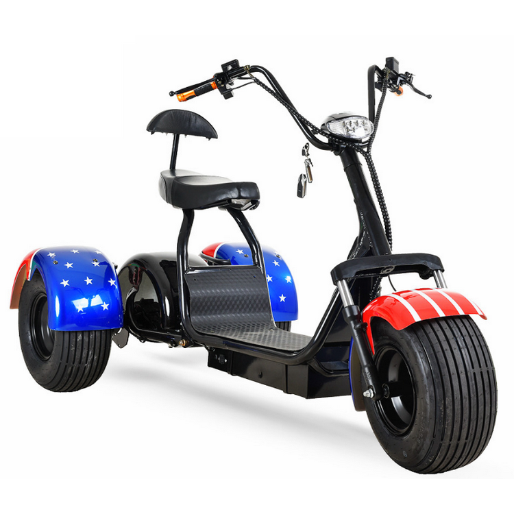 Electric Motor Tricycle Scooter Motorcycle 3 Wheels Tilting Electric Trike