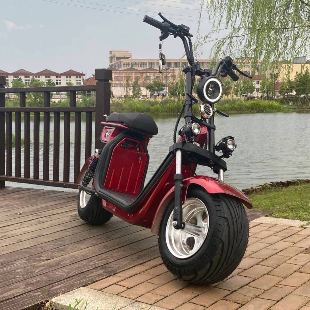 10 Inch 750W 150cc Electric Scooters 2000W 36V 48V 52V 60V Powerful Folding Electric Scooter