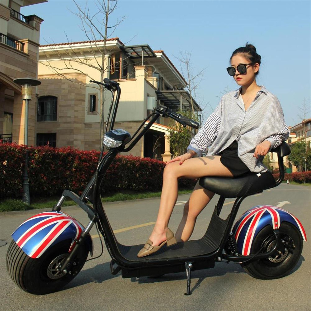 Wholesale Popular Electric Motorcycle Scooter 2000W Electric Citycoco Scooter With CE Sidecar