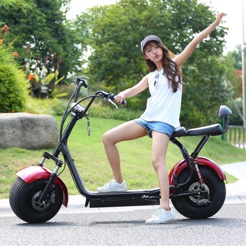 Wholesale Popular Electric Motorcycle Scooter 2000W Electric Citycoco Scooter With CE Sidecar