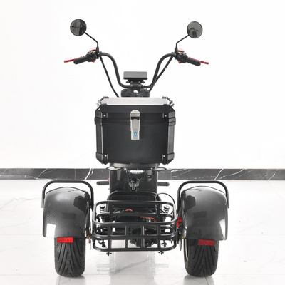 2023 New Handicapped Scooters Express Electric Cargo Tricycle Enclosed Electric Tricycle Electric Bike