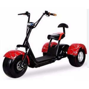 Electric Motor Tricycle Scooter Motorcycle 3 Wheels Tilting Electric Trike