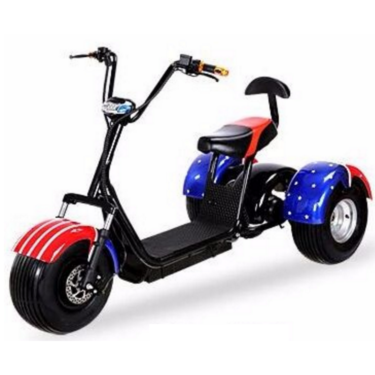 Electric Motor Tricycle Scooter Motorcycle 3 Wheels Tilting Electric Trike