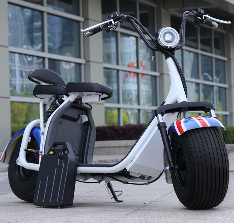 Wholesale Tailg Bike Kick E Scooter Speedy Electric Tire 10Inch Long Range Km 2023 Best Citycoco Smart Fashion Electric Scooters