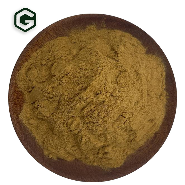 High Quality 25% Chlorogenic Acid  Eucommia Ulmoides Extract