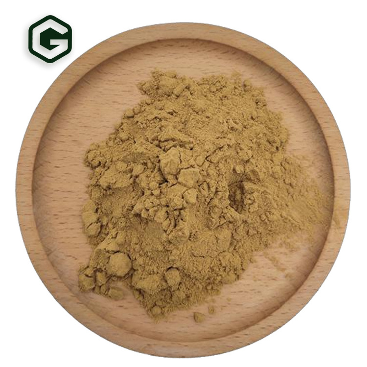 High Quality 25% Chlorogenic Acid  Eucommia Ulmoides Extract