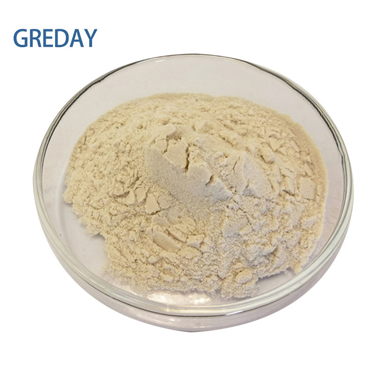 Manufacturer wholesale oat beta glucan powder food grade oat fiber beta-glucan