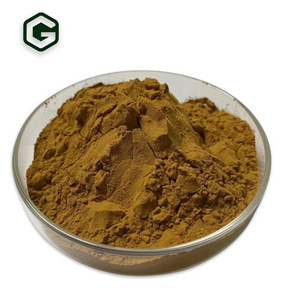 High Quality 25% Chlorogenic Acid  Eucommia Ulmoides Extract