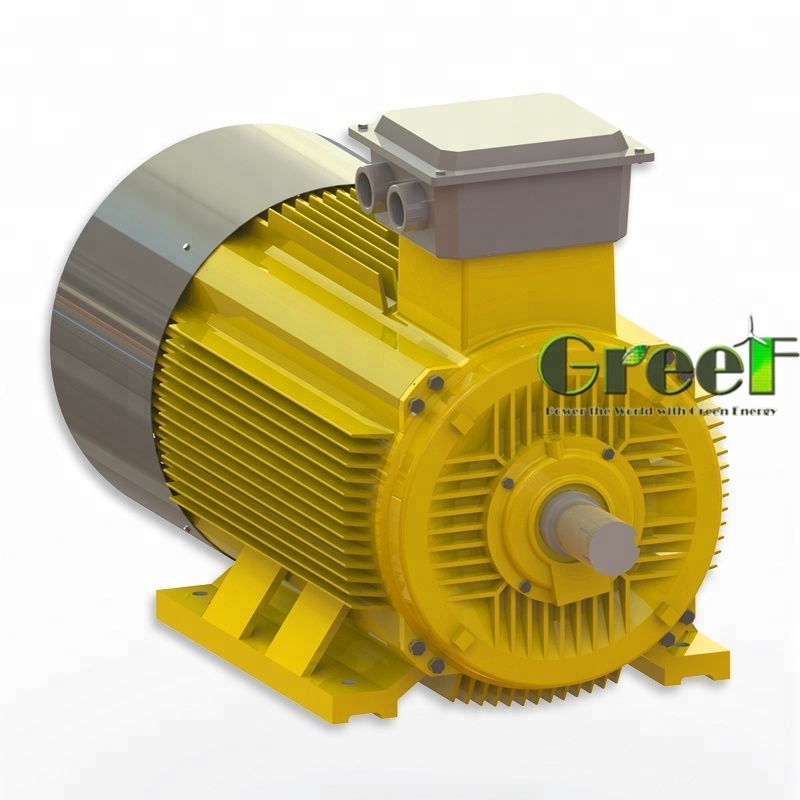 Nd-Fe-B Brushless direct drive PMG 3 phase AC 40KW 100RPM for off-grid wind turbine