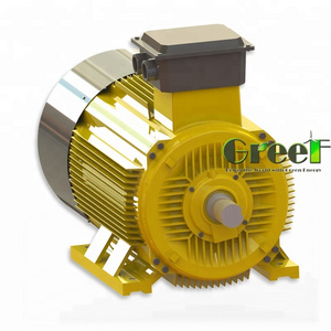 Nd-Fe-B Brushless direct drive PMG 3 phase AC 40KW 100RPM for off-grid wind turbine