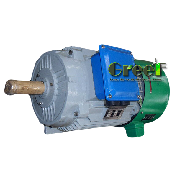 3kw 100rpm pmg alternator, permanent neodymium magnet generator for wind power and hydro turbine