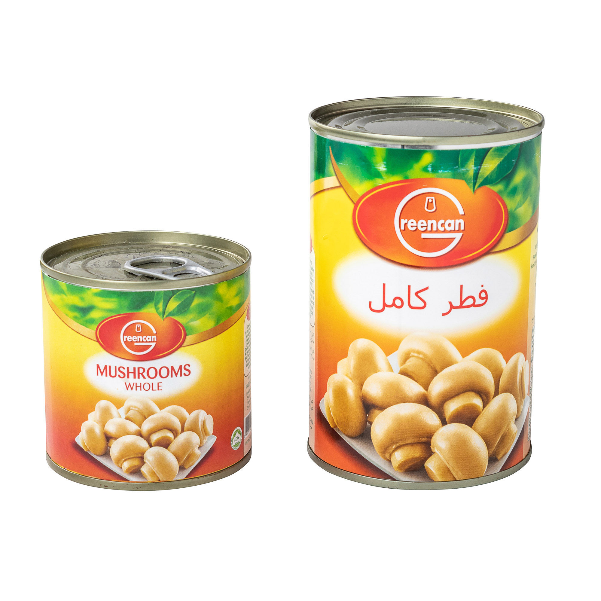 China Canned champignon Canned Mushroom with Best Price