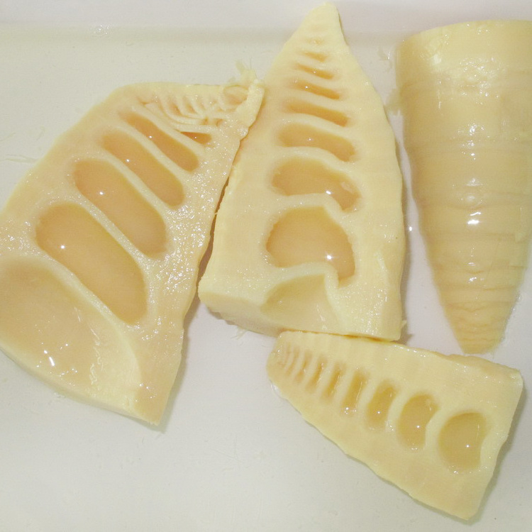 Hot Selling Bamboo Canned Bamboo Shoot