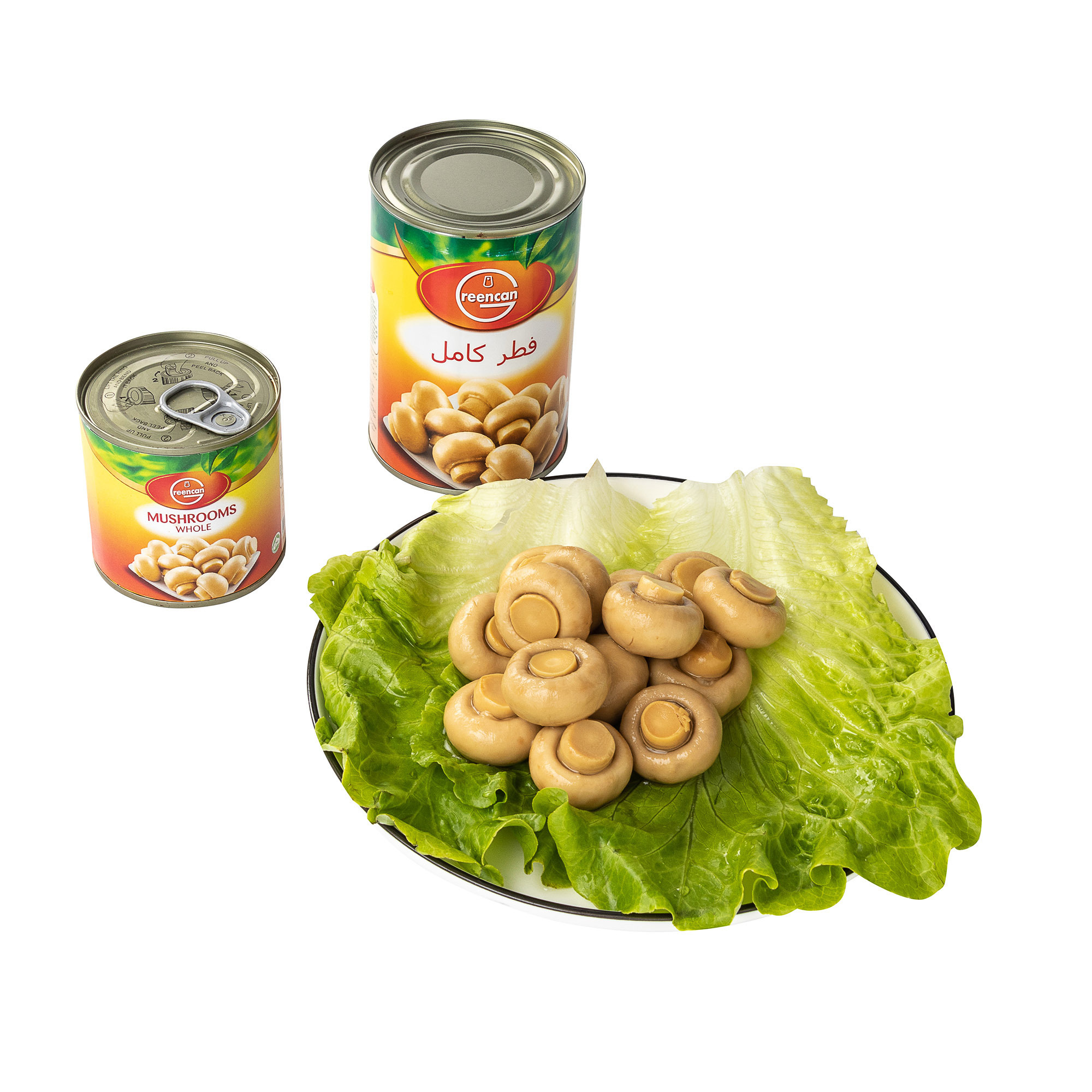 China Canned champignon Canned Mushroom with Best Price