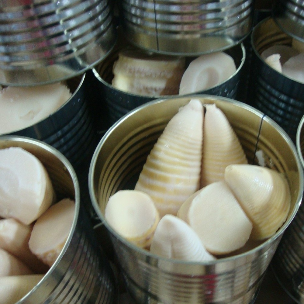 canned food, canned bamboo shoot whole, sliced, strip, halves