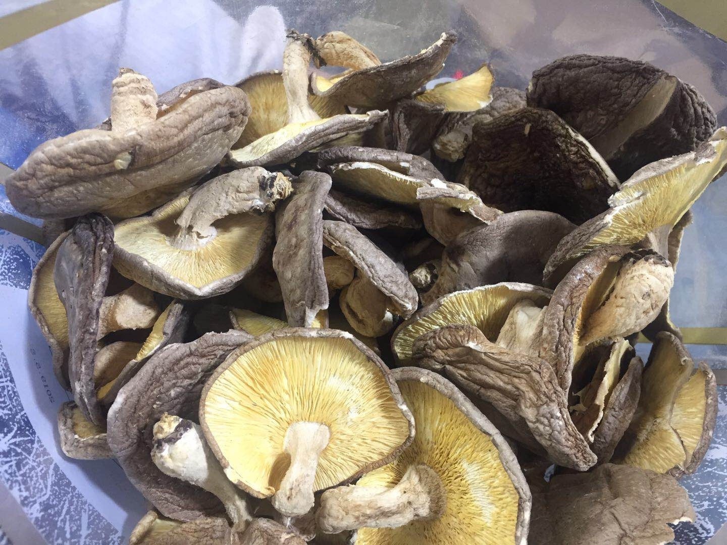 wholesale dry shiitake mushrooms delicious natural big whole mushrooms in bulk bag