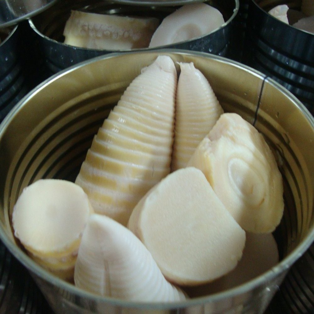 Hot Selling Bamboo Canned Bamboo Shoot