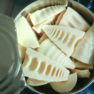 canned food, canned bamboo shoot whole, sliced, strip, halves