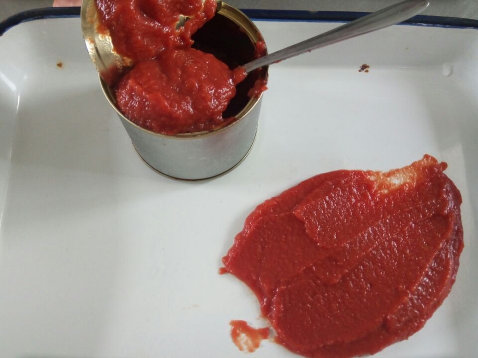 wholesale tomato paste in brix:36-38% in cold break in bulk in drum