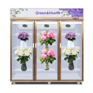 Keeping Fresh Cooler Flowers Shop Showcase Display Chiller